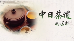 湖南农业大学公开课：中日茶道的区别