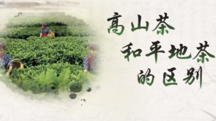 湖南农业大学公开课：高山茶和平地茶的区别